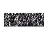 Oxtxuzdm Original Profile Keycaps 64/74Key Backlit Keycaps For 60 61 63 64 65 67 68 Mechanical Keyboards Programmer Keyboards Accessories