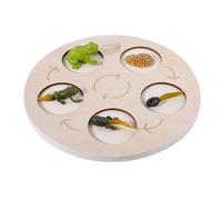 Oxtxuzdm Wooden Life Growth Cycle Toy Animal/Plant Figurine Matching Toy Tangram For Kids Early Learning & Education Party Supply