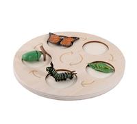 Oxtxuzdm Wooden Life Growth Cycle Toy Animal/Plant Figurine Matching Toy Tangram For Kids Early Learning & Education Party Supply