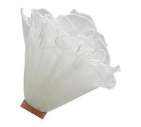 Oxxggkao Airy White Pleated Organza Ribbon Ideal for Bridal Party Decorations Floral Arrangements and Projects White Transparent Tulle Fabric Trimming