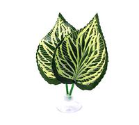 Oxxggkao Hammock BettaFish Bed Resting Pad Natural Environment Fish Spawning Grounds Fishtanks Accessories Pad Supplies Aquariums Decorations