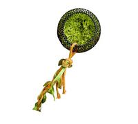 Oxxggkao Natural Tree Hollows Hide Shelter for Pet Lizards Durability Metal Construction Strong Magnetics Adhesion Exotic Pet Metal Shelter