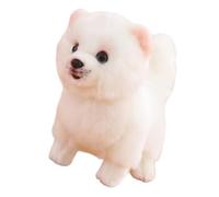 Oxxggkao Realistic Dog Toy Simulation Pomeranian Toy Doll Stuffed Animals for Display and Cuddling Safe Emotion Accessory Children Companion