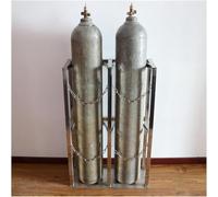 Oxygen Cylinder Rack, Gas Cylinder Trolley, Stainless Steel Gas Cylinder Fixed Rack, Cylinder Tank Rack Wirh Adjustable Protective Chain, Gas Cylinder Storage Rack(17.7x11.8x23.6 in)