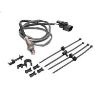 Oxygen Sensor BOSCH 0 258 007 351 for AUDI A3 (8L1) 1.6 2000-2003