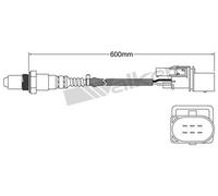 Oxygen Sensor Left Rear Fits Audi A3 TT Roadster A4 B6 Avant Bosch 0 258 007 353