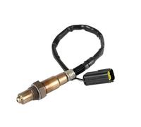 Oxygen Sensor Spacer Fit For CFMOTO EFI Oxygen Sensor Fit For 2020-2022 Fit For CFORCE 400 500 600 1000 ZFORCE 500 950 1000 UFORCE 600 100 Lambda Probe