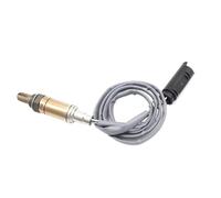 Oxygen Sensors Compatible With For E46 E53 E60 E61 E65 E66 E67 E83 E85 X3 X5 Z3 Z4 0258005109 Car Rear Downstream Air Fuel Ratio Lambda O2 Oxygen Sensor