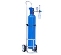 Oxygen Tank Holder Oxygen Tank Dolly with Straps, Adjustable Height, Portable Wheeled Stand for Oxygen Canister, Aluminum Hand Cart for Gas Cylinder Tanks(Diameter: