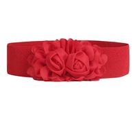 Oyccen Women's Elastic Waistband Wide Chiffon Roses Belt Dress, Red, One Size