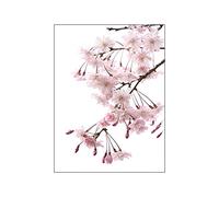 OYFFL Poster Pink Peony Floral Print Painting Wall Picture Modern Living Room Decoration Canvas Print Wall Art Foto Art Flower Nordic Style (11,30x40cm No Frame)
