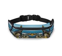 Oyihfvs Seal on Seaside Rock Stone Ocean View Adjustable Running Belt, Fanny Pack Waist Pack, Runners Bag, Sports Hiking Fitness Exercise Gym Pouch for Women Men Accessories