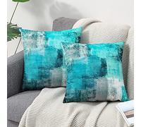 OYIMUA Set of 2 Decorative Velvet Cushion Covers 40 x 40 cm Abstract Art Decor Pillow Case Teal Cushion Cover 16x16 inches for Outdoor Patio Garden Blench Living Room Sofa Farmhouse Decor