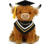 OYIWINMI Graduation Gifts Her Him, Highland Cow Gifts 11in/28cm Graduation Plush Presents for Daughter Son, Personalised Graduation Gift for Nursery, High School, University, Master's or Phd in 2026