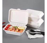 Oyster Bagasse Hb9 /Hp9 chips container with hinged, 7 x 5 white takeaway Clamshell boxes