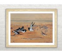 Oyster Catchers Bird Framed Wall Art Picture Print - A3 - Light Oak Frame