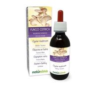 Oyster Mushroom (Pleurotus ostreatus) Fungus or Mushroom Alcohol-Free Mother Tincture Naturalma - Liquid Extract Drops 120 ml - Food Supplement - Vegan