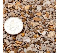 Oyster Shell Grit 100g - Poultry Feed Additive - Organic Gardening - Wormery Production - Wild Bird Food Supplement - Natural Slug & Snail Barrier - Pot Plant Covering