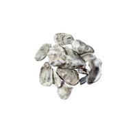 Oyster Shells 100 g Snails House Construction Calcium Sources Land Snails Agate Snails Additional Food