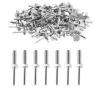 OYUUJII Blind Rivets with Large Flange,100 Pcs 4.8 x 16 mm Silver Aluminum Blind Rivets Pop Rivet Dome Head Aluminium/Steel Shaf Rivet for Woodworking Sheet Metal,Furniture,Car,Ships