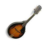 Ozark 2073 All Solid Mandolin