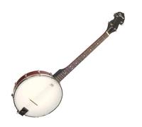 Ozark 2102T Tenor Banjo with Gig Bag