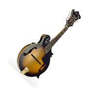 Ozark Electro-Acoustic 'F' Model Mandolin