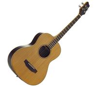 Ozark Tenor Guitar