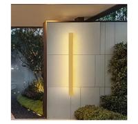 OZBME Modern Led Wall Light AC85-265V Waterproof IP65 Outdoor Lighting Garden Lights Porch Long Lamp Indoor Decoration Sconce,Led Ceiling Pendant (Gold 60cm 19W)