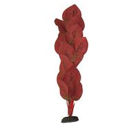 Ozelot Red Silk Like Plant 30cm by KenKoi