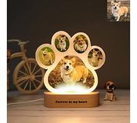 Ozinna Custom Photo Dog Lamp Acrylic Board Nightlight Decor Pet Memorial Gifts (Dog Paw with Text)