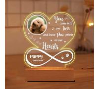 Ozinna Personalized Pet Memorial Night Light Custom Name Photo in Loving Memory Picture Frame Acrylic Lamp Pet Sympathy Gifts Bereavement Gifts Memorial Gifts for Loss of Dog Cat (Style-8)
