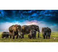 OZLHSP 1000 piece jigsaw puzzles Elephants Babies Cloud Animals 75x50cm