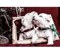 OZLHSP 1000 pieces jigsaw Puppies Animal 75x50cm