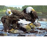 OZLHSP 3d jigsaw puzzle 1500 pieces Eagle Animals 87x57cm