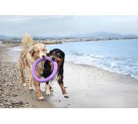 OZLHSP 3d jigsaw puzzle 500 pieces Aussie Animals 52x38cm