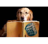 OZLHSP 500 piece jigsaws Animal Retriever Golden Retriever 52x38cm