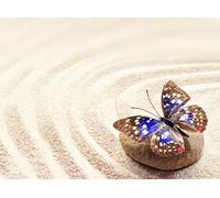 OZLHSP 500 piece puzzle Butterflies Zen Animals 52x38cm