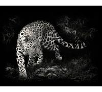 OZLHSP adult puzzle 1000 pieces Leopard Big Cats Night Animal 75x50cm