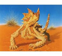 OZLHSP calm toys for children jigsaw puzzle 500 piece Reptiles 52x38cm