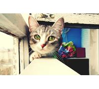 OZLHSP chinese puzzles for adults jigsaw 1500 piece Cats Animal 87x57cm