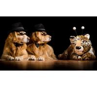 OZLHSP chinese puzzles for adults jigsaw 500 piece Retriever Animals 52x38cm