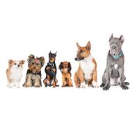 OZLHSP christmas 500 piece jigsaw puzzles Pinscher Chihuahua Cane Corso Bull Terrier Yorkshire 52x38cm