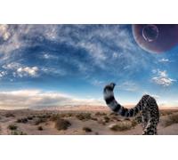 OZLHSP christmas games for children jigsaw puzzle 1000 piece Cheetah Big Cats Animal 75x50cm