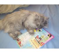 OZLHSP christmas games for children jigsaw puzzle 500 piece Cats Animals 52x38cm