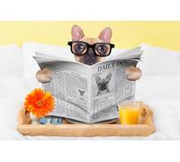 OZLHSP christmas jigsaw puzzle 1000 pieces Bulldog Newspaper 75x50cm