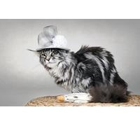 OZLHSP christmas jigsaw puzzles for adults 1000 Cats Animal 75x50cm