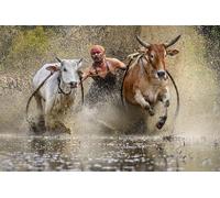 OZLHSP christmas jigsaw puzzles for adults 500 Traditional Bull Race Bulls 52x38cm