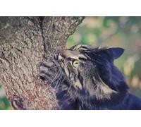 OZLHSP christmas jigsaws 1000 pieces for adults Animal Cats 75x50cm