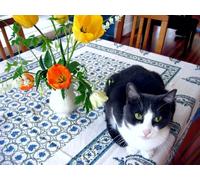 OZLHSP christmas jigsaws 1000 pieces for adults Cats Animal 75x50cm